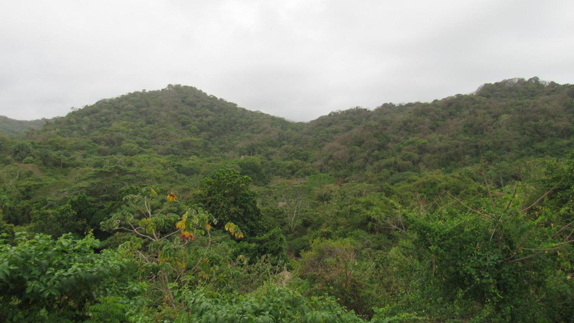 Hotel Mirador del Parque Tayrona Zaino Exterior foto